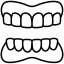 <span color-type="color" style="color: #155154;">Зубочелюстной системы</span><br>